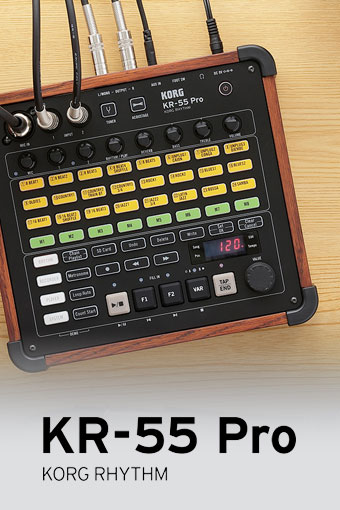 Korg KR55